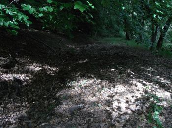 Percorso A piedi Wehrheim - Kransberg-Kreuzkapelle-Jungholz - Photo