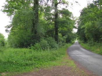 Tocht Stappen Rethondes - en forêt de Laigue_4_08_2019_Mont du Fouilleux_Mont des Singes_Marais de Francière - Photo