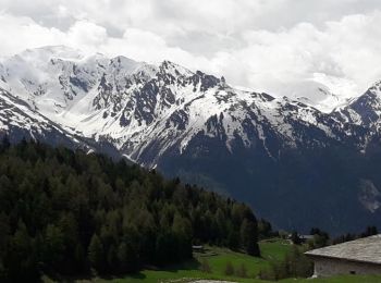 Excursión Bici de montaña Modane - Loutraz à Modane L'orgère le plan de l'ours - Photo