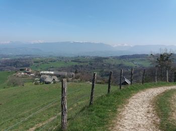 Tocht Stappen Entrelacs - SAPENAY / CLERGEON: SAPENAY - PRINGY - GRANDE CUVE - ROJUX - LES GRANGES - Photo