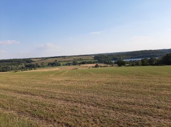 Tocht Mountainbike Froidchapelle - Plate taille  - Photo