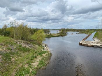 Percorso sport Maasgouw - Hompische molen  - Photo