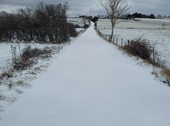 Tocht Stappen Lavoûte-sur-Loire - l - Photo