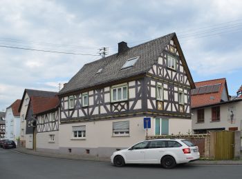 Tour Zu Fuß Waldsolms - Wanderwege Brandoberndorf - Keiler - Photo