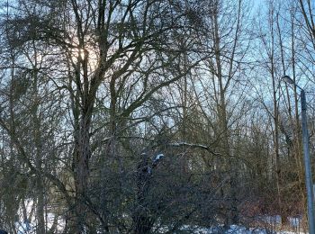 Randonnée Marche Fleurus - forêt des loisirs Fleurus - Photo