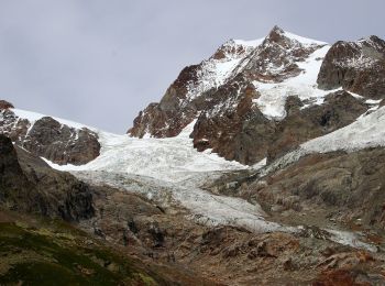 Tour Zu Fuß Courmayeur - (SI F07) Rifugio Elisabetta - Courmayeur - Photo