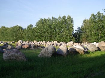 Randonnée A pied Drebkau - Altbergbau Görigk - Photo