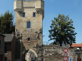 Tocht Te voet Tongeren - De Kevie Gele cirkel - Photo