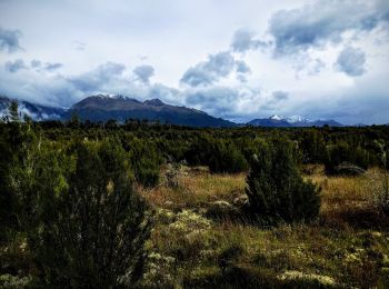 Tocht Te voet Fiordland Community - Borland Road to Lake Monowai Car Park - Photo