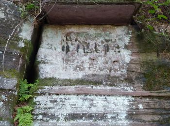 Tocht Stappen Roppeviller - altschlossfelsen - Photo