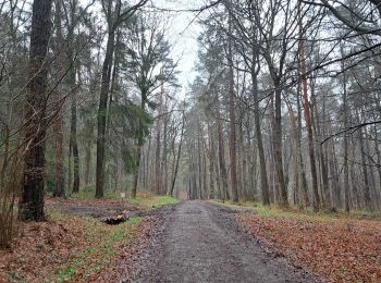 Trail Walking Nandrin - Marche ADEPS Villers-le-Temple - Photo
