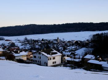 Percorso A piedi Orvin - Orvin - Ried - Photo