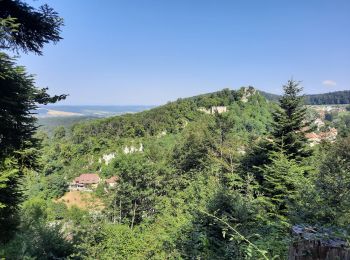 Randonnée Marche Ferrette - Ferrette ,château, grotte des nains,rossberg - Photo