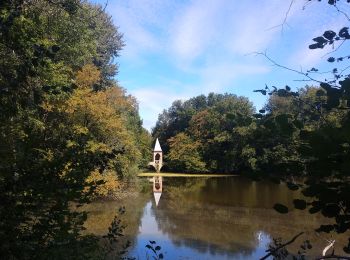 Trail Walking Bullion - Bullion Bonnelles circuit par les forêts - Photo