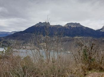 Tocht Mountainbike Duingt - rando annecy - Photo