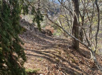 Tour Wandern Furmeyer - Col des Traverses par le sentier de chamois - Photo