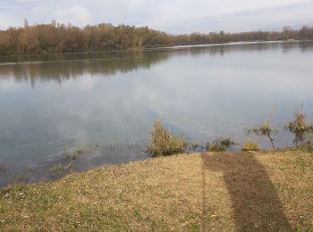 Tour Wandern Priay -  11 11 2019 lac de PRIAY - Photo