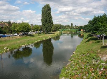 Randonnée A pied Lozanne - De Lozanne à Marcy - Photo