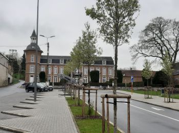 Tocht Stappen Wanze - Bas-Oha - Lamalle - Bas-Oha - Photo