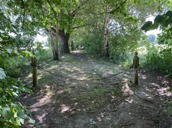 Randonnée Marche Frameries - SARS les Bruyère 17 km - Photo