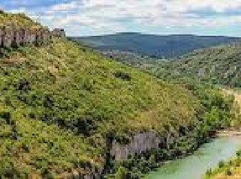 Tour Wandern Blauzac - De la Moustarde à la Baume de Saint-Vérédème par les Gorges du Gardon - Photo