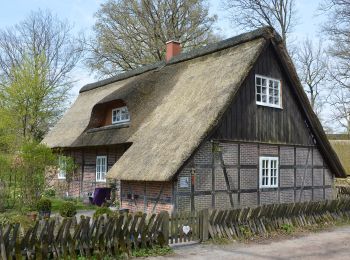 Randonnée A pied Bispingen - Rundwanderweg Wilsede W1 - Photo