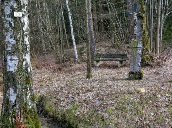 Percorso A piedi Pegnitz - Trockau Rundwanderweg Nr. 2 - Photo