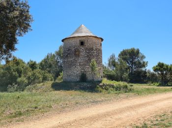 Excursión Senderismo Parignargues - Parignargues_stmamert-Fons-Gajan - Photo