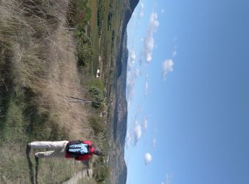 Percorso A piedi Alba-la-Romaine - Alba la Romaine - Photo