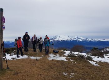 Tocht Sneeuwschoenen La Motte-d'Aveillans - Les Signaraux - La Pierre Plantée  - Le Serre de L'Horizon - Le Col du Sénépy - Photo