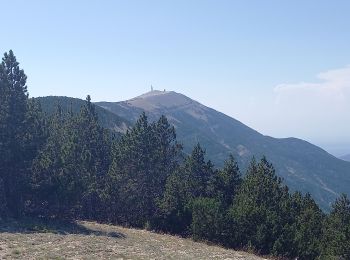 Tour Wandern Bédoin - Crêtes du Ventoux au départ du Chalet Reynard  - Photo