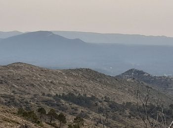 Tour Wandern La Bastidonne - La Bastidonne - Photo