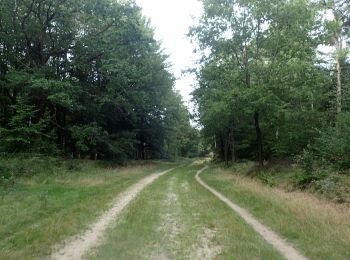 Tour Zu Fuß Enge-Sande - Petersburger Weg - Photo