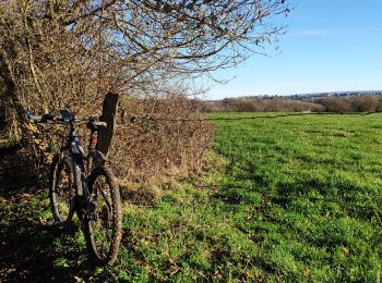 Randonnée Vélo électrique Trooz - Autour de Olne - Photo