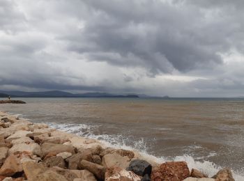 Percorso Mountainbike La Londe-les-Maures - 2022 11 15 après pluie - Photo