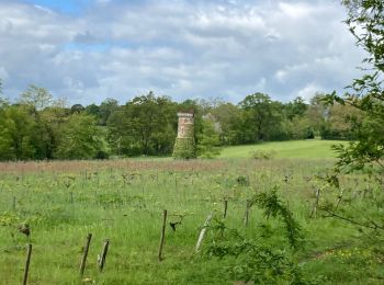 Tour Wandern Le Cellier - Le cellier - Photo