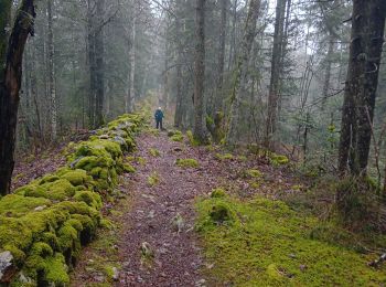 Tocht Stappen Villers-le-Lac - gr5 2 - Photo