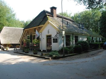 Excursión A pie Ermelo - Onderduikers- en verzetsroute - Photo