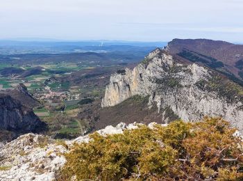 Randonnée Marche Saou - Saou : Le Petit Pomerolle 11km. - Photo