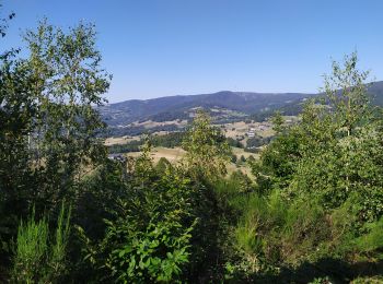 Trail Walking Lapoutroie - La tour du Faudet - Photo