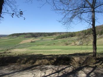 Tour Wandern Braux-le-Châtel - 010_Le_Tour_de_la_Repe - Photo