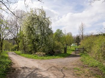 Tocht Te voet Altenbeken - Rundwanderweg A2 (Klusweg) - Photo