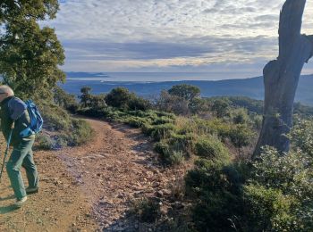 Tocht Stappen Roquebrune-sur-Argens - La Flûte  - Photo