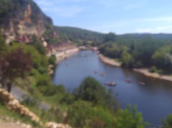 Trail Walking Beynac-et-Cazenac - Beynac-La Roque - Photo