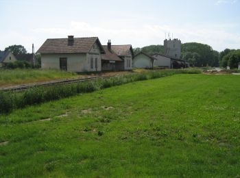 Tocht Te voet Gemeinde Wilfersdorf - Prinzendorf - Rundwanderweg 4 - Photo