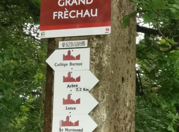 Percorso Mountainbike Yvoir - GODINNE ... par Basse Besinne (commune de Arbre). - Photo