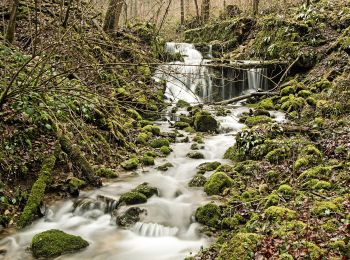 Tour Zu Fuß Hauenstein-Ifenthal - Ifenthal- Trimbach - Photo