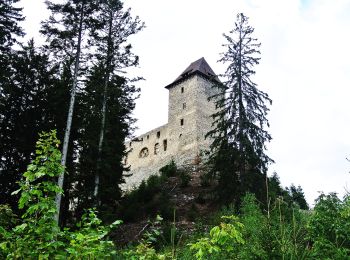 Excursión A pie Kašperské Hory - Na Kašperk jinak - Photo