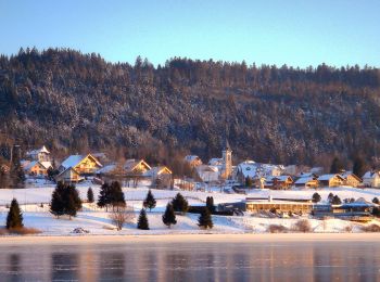 Percorso A piedi Saint-Point-Lac - La Ronde des Deux Villages - Photo