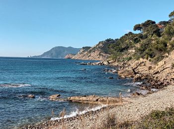 Tour Wandern Saint-Mandrier-sur-Mer - Le littoral de St Mandrier-21-01-21 - Photo